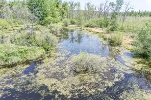 E5097 State Road 54, Weyauwega, WI 54983 - Photo 61