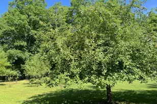 W6150 Steffen Ln, Pembine, WI 54156 - Photo 43