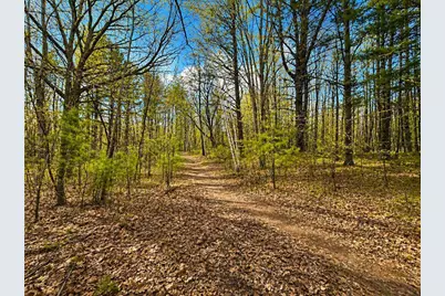 5620 Galuska Road, Abrams, WI 54101 - Photo 73