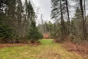 17311 Presbyterian Rd, Townsend, WI 54175 - Photo 35