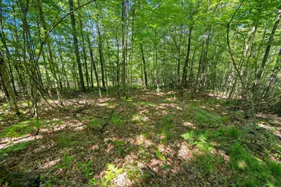 W10465 Leskovec Lane, Crivitz, WI 54114 - Photo 77