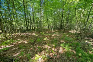 W10465 Leskovec Ln, Crivitz, WI 54114 - Photo 77