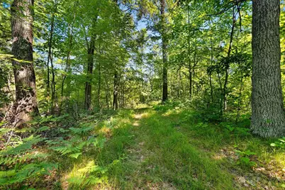 W10465 Leskovec Lane, Crivitz, WI 54114 - Photo 83