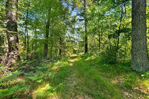 W10465 Leskovec Ln, Crivitz, WI 54114 - Photo 83