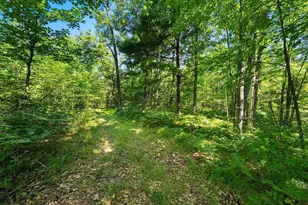 W10465 Leskovec Ln, Crivitz, WI 54114 - Photo 79
