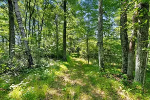 W10465 Leskovec Ln, Crivitz, WI 54114 - Photo 81