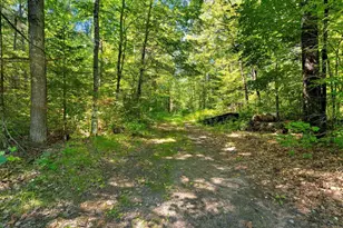 W10465 Leskovec Ln, Crivitz, WI 54114 - Photo 47