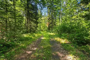 W10465 Leskovec Ln, Crivitz, WI 54114 - Photo 65
