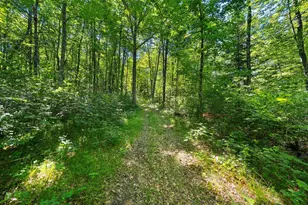 W10465 Leskovec Ln, Crivitz, WI 54114 - Photo 75