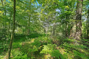 W10463 Leskovec Ln, Crivitz, WI 54114 - Photo 47