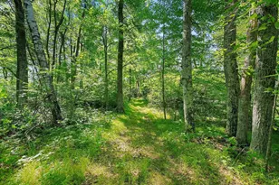 W10463 Leskovec Ln, Crivitz, WI 54114 - Photo 45