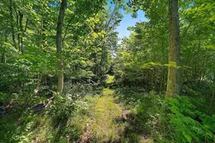 W10463 Leskovec Ln, Crivitz, WI 54114 - Photo 51