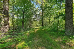 W10463 Leskovec Ln, Crivitz, WI 54114 - Photo 47
