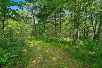 W10463 Leskovec Lane, Crivitz, WI 54114 - Photo 53