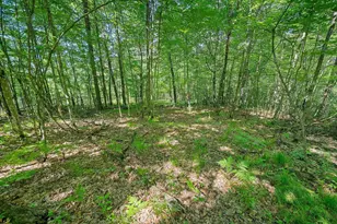 W10463 Leskovec Ln, Crivitz, WI 54114 - Photo 41