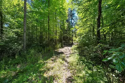 Leskovec Lane, Crivitz, WI 54114 - Photo 5