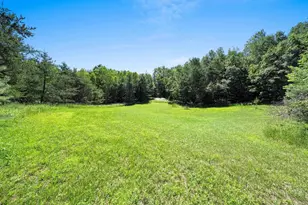 Leskovec Ln, Crivitz, WI 54114 - Photo 1