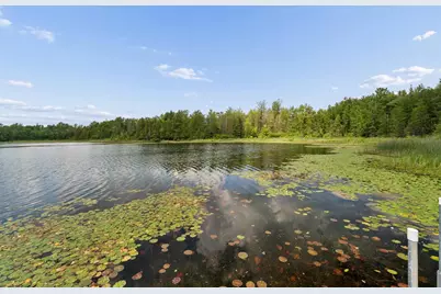 15662 Bademer Lane, Doty, WI 54149 - Photo 43