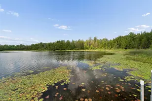 15662 Bademer Ln, Doty, WI 54149 - Photo 43