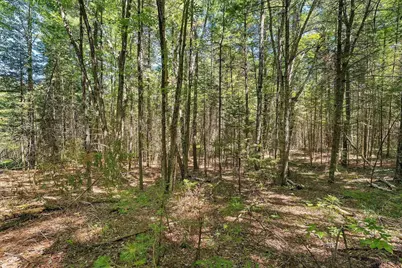 N8775 Boat Landing Road, Wausaukee, WI 54177 - Photo 15