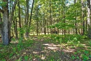 W11639 W Town Hall Rd, Gresham, WI 54128 - Photo 13