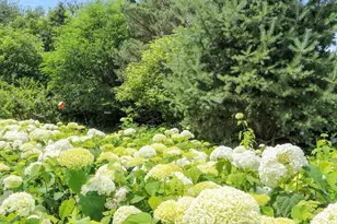 4351 Creamery Rd, De Pere, WI 54115 - Photo 61