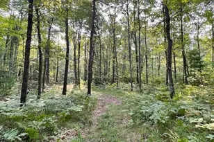 N18440 Reed Rd, Pembine, WI 54156 - Photo 47