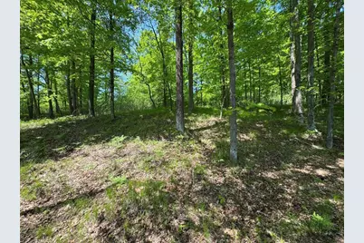 W17810 Eland Road, Wittenberg, WI 54499 - Photo 79