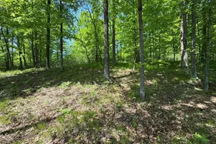 W17810 Eland Rd, Wittenberg, WI 54499 - Photo 79