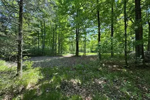 W17810 Eland Rd, Wittenberg, WI 54499 - Photo 73