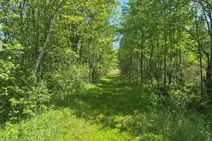 W17810 Eland Rd, Wittenberg, WI 54499 - Photo 47