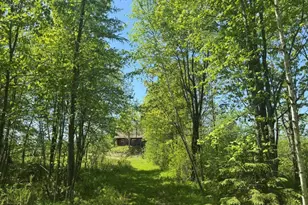 W17810 Eland Rd, Wittenberg, WI 54499 - Photo 49