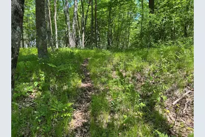 W17810 Eland Road, Wittenberg, WI 54499 - Photo 67