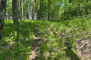 W17810 Eland Rd, Wittenberg, WI 54499 - Photo 67