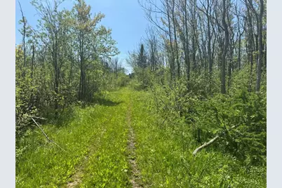 W17810 Eland Road, Wittenberg, WI 54499 - Photo 83