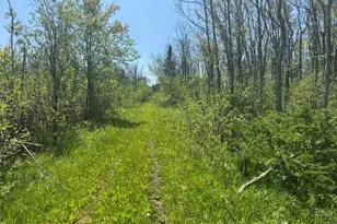 W17810 Eland Rd, Wittenberg, WI 54499 - Photo 83