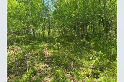 W17810 Eland Road, Wittenberg, WI 54499 - Photo 63