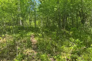 W17810 Eland Rd, Wittenberg, WI 54499 - Photo 63