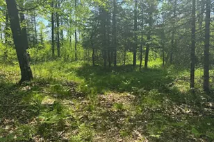 W17810 Eland Rd, Wittenberg, WI 54499 - Photo 65