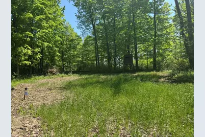 W17810 Eland Road, Wittenberg, WI 54499 - Photo 75
