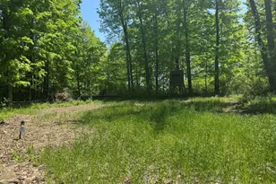 W17810 Eland Rd, Wittenberg, WI 54499 - Photo 75