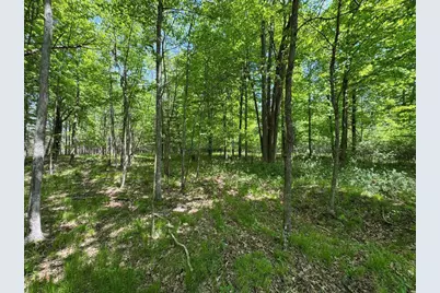 W17810 Eland Road, Wittenberg, WI 54499 - Photo 71