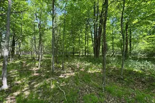 W17810 Eland Rd, Wittenberg, WI 54499 - Photo 71