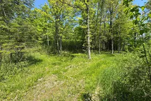 W17810 Eland Rd, Wittenberg, WI 54499 - Photo 61