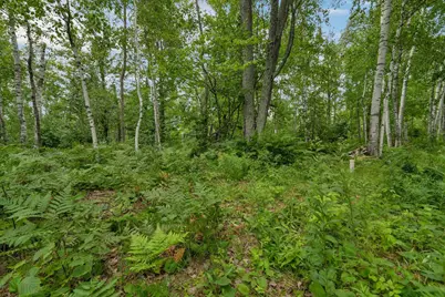 16788 Nicolet Road, Townsend, WI 54175 - Photo 59