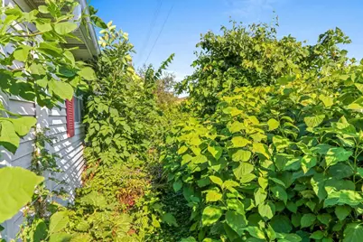 1926 Hillview Drive, Green Bay, WI 54202 - Photo 49