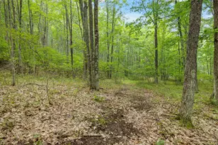 W8108 Kafka Rd, Wausaukee, WI 54177 - Photo 39