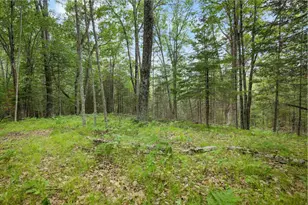W8108 Kafka Rd, Wausaukee, WI 54177 - Photo 43