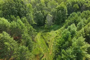 N11424 Jepson Rd, Clintonville, WI 54929 - Photo 57