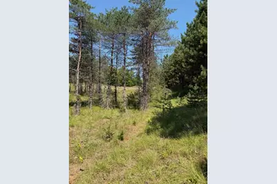 W7855 Trellis Road, Crivitz, WI 54114 - Photo 5